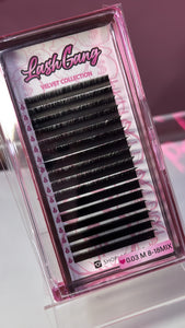 M Curl Trays